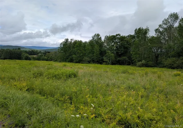 Photo 4 of Land for sale at Hubbell Hl Rd, Middletown, NY 12455 | MLS# 1027019 | Listing updated on 2026-08-17