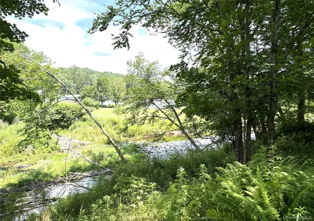 44th image of 63 Cape Rd, Callicoon, NY 12791 | MLS# 1027205