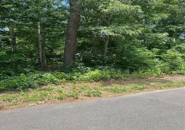 Photo 3 of Land for sale at V/l Main Ave, Brookhaven, NY 11719 | MLS# 1027610 | Listing updated on 2026-07-21