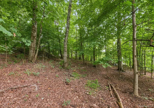 Photo 3 of Land for sale at Brewer Rd, Newburgh, NY 12550 | MLS# 1027625 | Listing updated on 2026-09-03