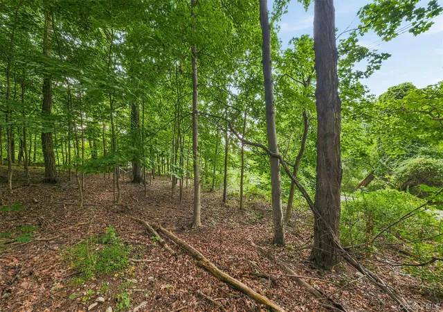 Photo 3 of Land for sale at Brewer Rd, Newburgh, NY 12550 | MLS# 1027625 | Listing updated on 2026-09-03