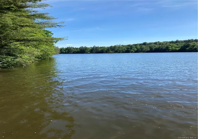 Photo 1 of Land for sale at Plank Rd Forestburg New York, Forestburgh, NY 12777 | MLS# 1027675 | Listing updated on 2026-08-13
