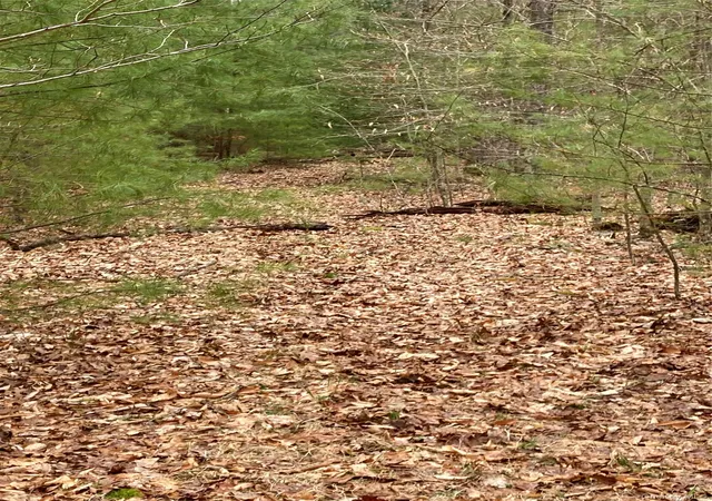 Photo 14 of Land for sale at Plank Rd Forestburg New York, Forestburgh, NY 12777 | MLS# 1027675 | Listing updated on 2026-08-13