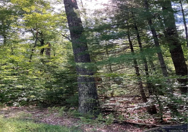 Photo 5 of Land for sale at Plank Rd Forestburg New York, Forestburgh, NY 12777 | MLS# 1027675 | Listing updated on 2026-08-13