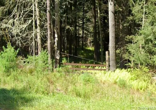 Photo 1 of Land for sale at 2199 State Route 42, Forestburgh, NY 12777 | MLS# 1027736 | Listing updated on 2026-07-19