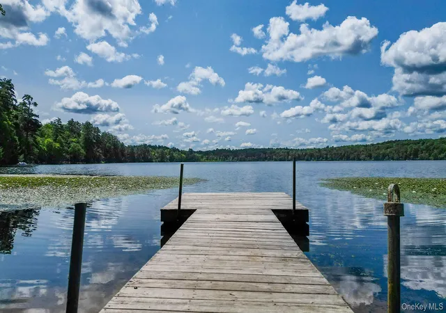 1st image of Lot 33 Black Lake Rd, Bethel, NY 12786 | MLS# 1028197