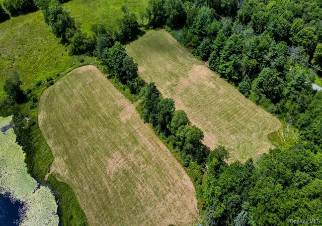 12th image of Lot 33 Black Lake Rd, Bethel, NY 12786 | MLS# 1028197