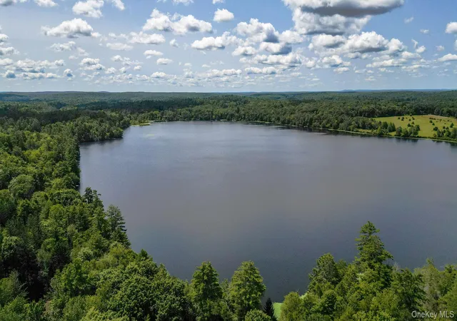 3rd image of Lot 33 Black Lake Rd, Bethel, NY 12786 | MLS# 1028197