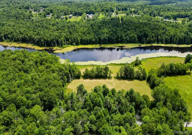 4th image of Lot 33 Black Lake Rd, Bethel, NY 12786 | MLS# 1028197