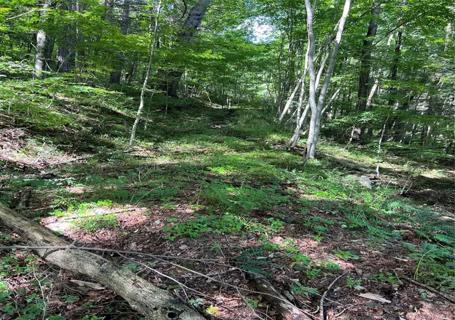 Photo 2 of Land for sale at 00 Gibson Rd, East Branch, NY 13756 | MLS# 1028328 | Listing updated on 2026-10-07