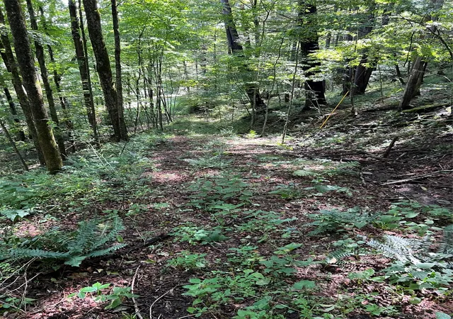 Photo 3 of Land for sale at 00 Gibson Rd, East Branch, NY 13756 | MLS# 1028328 | Listing updated on 2026-10-07