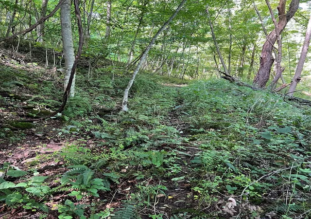 Photo 3 of Land for sale at 00 Gibson Rd, East Branch, NY 13756 | MLS# 1028328 | Listing updated on 2026-10-07