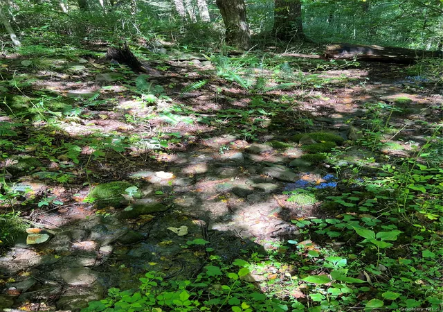 Photo 4 of Land for sale at 00 Gibson Rd, East Branch, NY 13756 | MLS# 1028328 | Listing updated on 2026-10-07