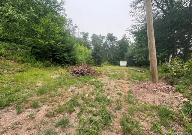 2nd image of Rapp Rd, Monticello, NY 12701 | MLS# 1028478