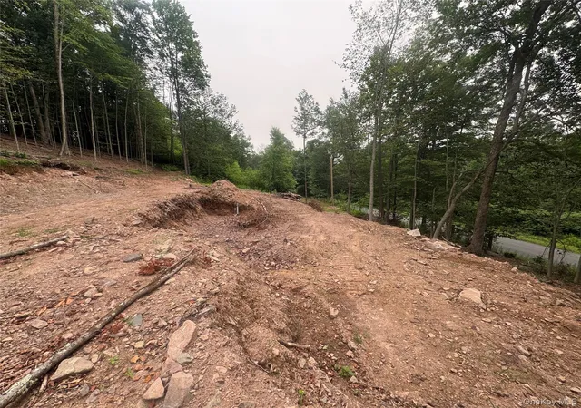 10th image of Rapp Rd, Monticello, NY 12701 | MLS# 1028478