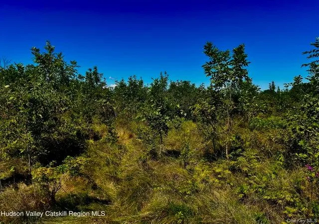 Photo 2 of Land for sale at 001 N Vernon St, Athens, NY 12015 | MLS# 1028704 | Listing updated on 2026-08-07