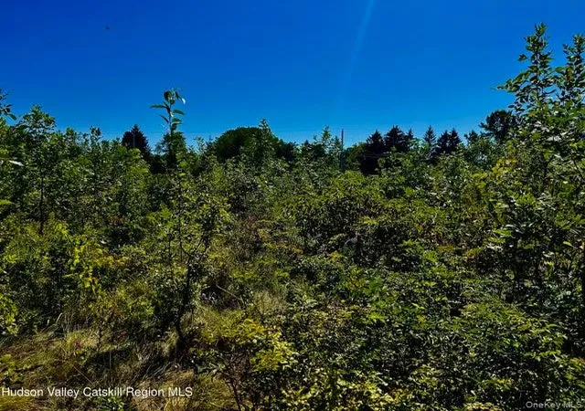 Photo 3 of Land for sale at 001 N Vernon St, Athens, NY 12015 | MLS# 1028704 | Listing updated on 2026-08-07