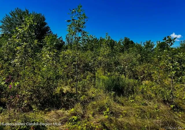 Photo 4 of Land for sale at 001 N Vernon St, Athens, NY 12015 | MLS# 1028704 | Listing updated on 2026-08-07