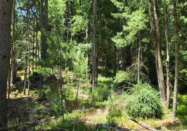 1st image of Lot # 7 Irishtown Rd, Tusten, NY 12764 | MLS# 1028716