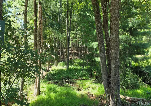 Photo 3 of Land for sale at Lot 7 Irishtown Rd, Tusten, NY 12764 | MLS# 1028716 | Listing updated on 2026-08-03