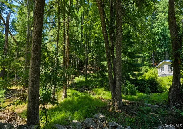 6th image of Lot # 7 Irishtown Rd, Tusten, NY 12764 | MLS# 1028716