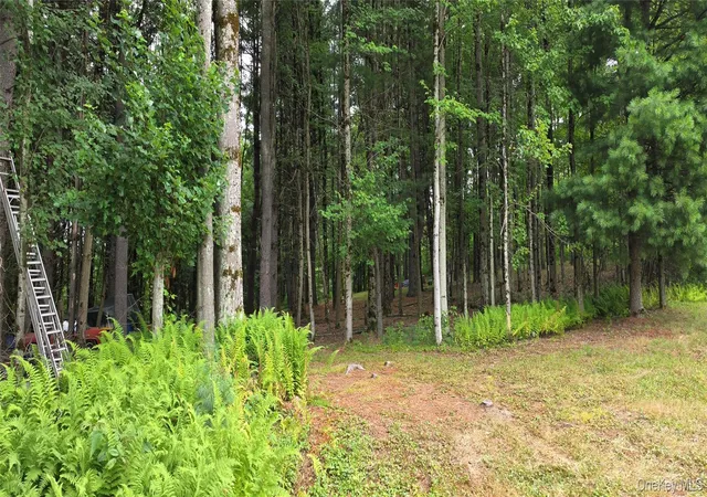 2nd image of Co Hwy 73, Bethel, NY 12783 | MLS# 1028785