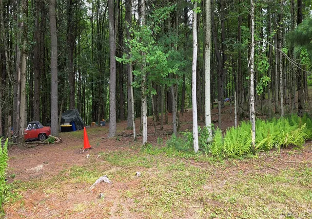 Photo 3 of Land for sale at Co Hwy 73, Bethel, NY 12783 | MLS# 1028785 | Listing updated on 2026-08-27
