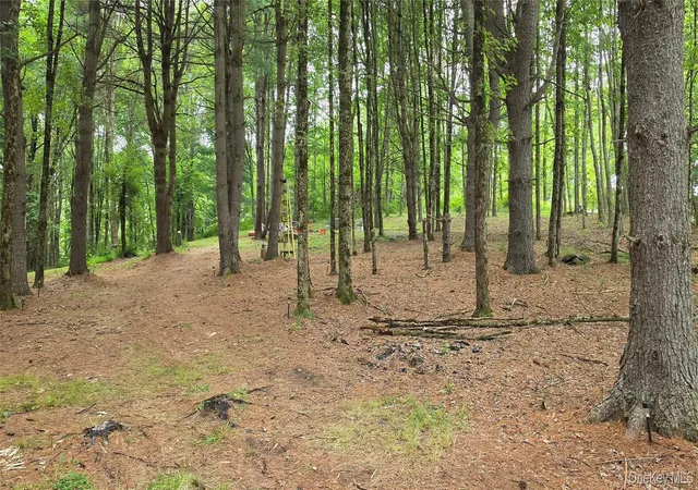 Photo 4 of Land for sale at Co Hwy 73, Bethel, NY 12783 | MLS# 1028785 | Listing updated on 2026-08-27