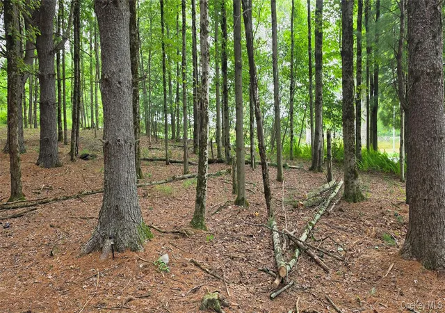 Photo 5 of Land for sale at Co Hwy 73, Bethel, NY 12783 | MLS# 1028785 | Listing updated on 2026-08-27