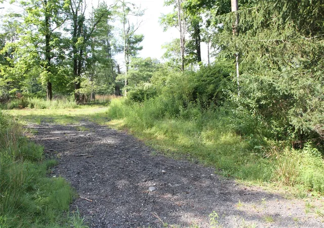2nd image of 137 Old Turnpike Rd, Woodridge, NY 12789 | MLS# 1028807