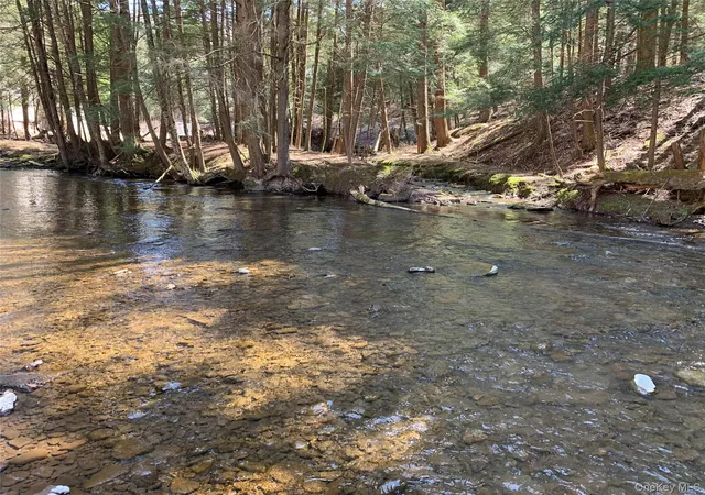 2nd image of 604 Basket Rd, Long Eddy, NY 12760 | MLS# 1029103
