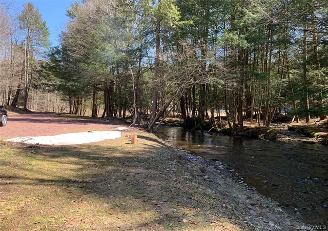 Photo 4 of Single family home for sale at 604 Basket Rd, Long Eddy, NY 12760 | MLS# 1029103 | Listing updated on 2026-09-05