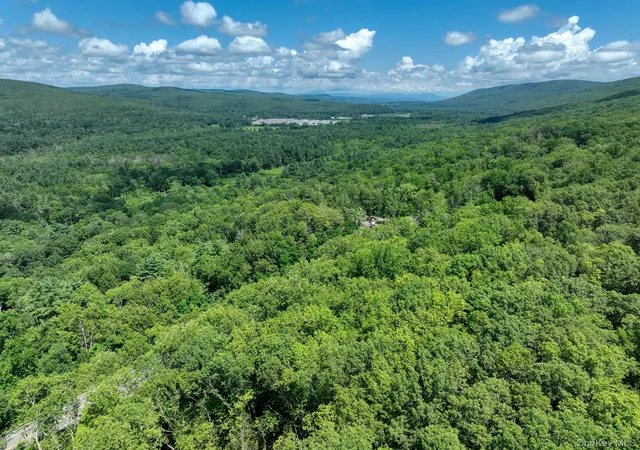1st image of Mamakating Rd, Mamakating, NY 12790 | MLS# 1029174