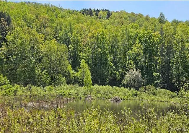 Photo 28 of Single family home for sale at 9003 County Hwy 28, Long Eddy, NY 12760 | MLS# 1029273 | Listing updated on 2026-07-23