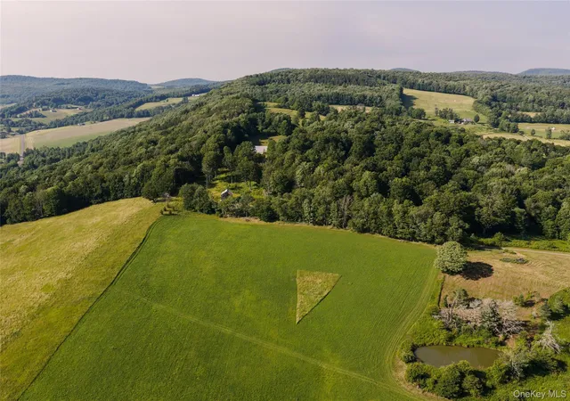 Photo 3 of Single family home for sale at 377 Reinertsen Hl Rd, Bovina, NY 13740 | MLS# 1029354 | Listing updated on 2026-07-31