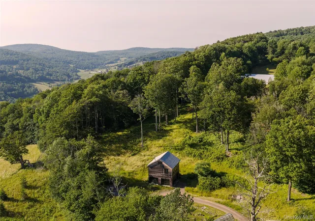 Photo 38 of Single family home for sale at 377 Reinertsen Hl Rd, Bovina, NY 13740 | MLS# 1029354 | Listing updated on 2026-07-31