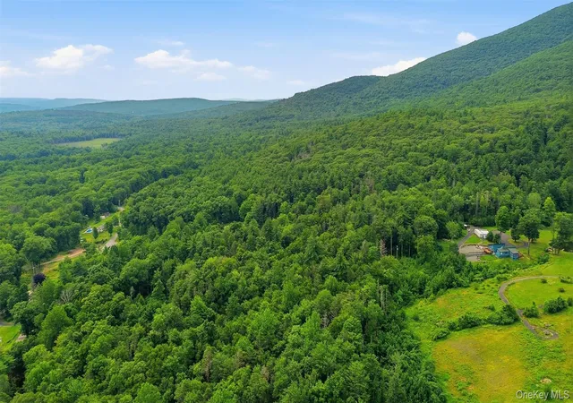 14th image of High Point Mountain Road, Stone Ridge, NY 12484 | MLS# 1029655