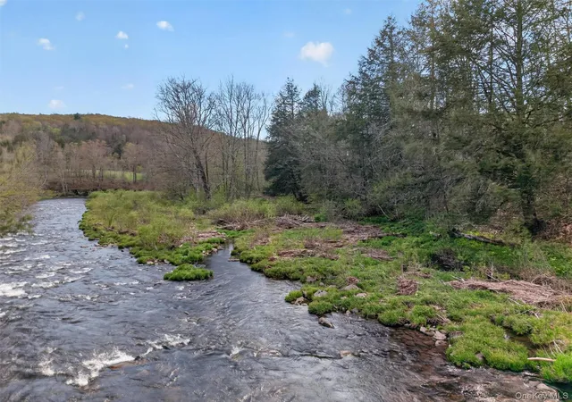 Photo 4 of Sale Pending at 674 Debruce Rd, Livingston Manor, NY 12758 | MLS# 1029678 | Listing updated on 2026-08-28