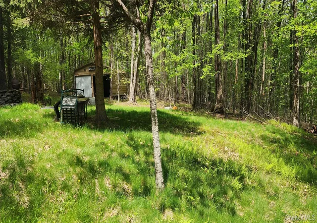 Photo 4 of Land for sale at 1433 County Route 56 Ln, Fallsburg, NY 12779 | MLS# 1029714 | Listing updated on 2026-07-24