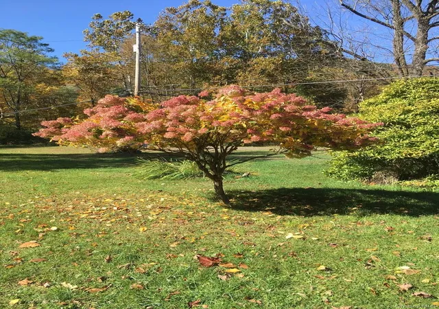 37th image of 736 Sundown Rd, Sundown, NY 12740 | MLS# 1029766