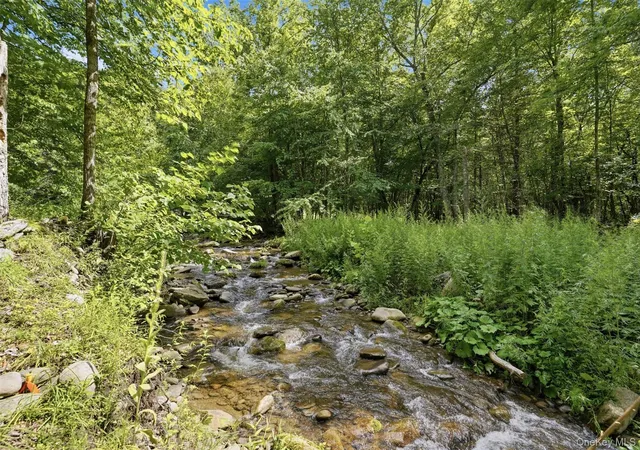 Photo 4 of Single family home for sale at 736 Sundown Rd, Sundown, NY 12740 | MLS# 1029766 | Listing updated on 2026-09-01