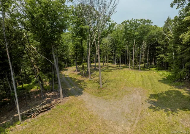 1st image of 276 East Hill Rd, Austerlitz, NY 12017 | MLS# 1029774