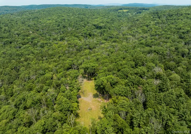 Photo 3 of Land for sale at 276 E Hill Rd, Austerlitz, NY 12017 | MLS# 1029774 | Listing updated on 2026-09-12