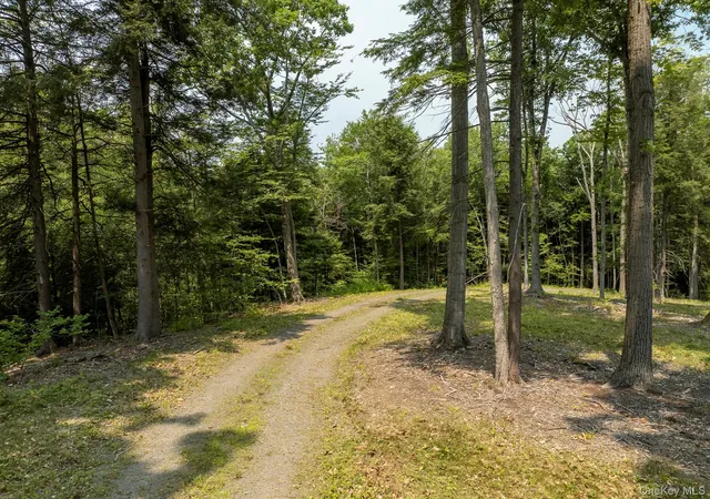 Photo 4 of Land for sale at 276 E Hill Rd, Austerlitz, NY 12017 | MLS# 1029774 | Listing updated on 2026-09-12