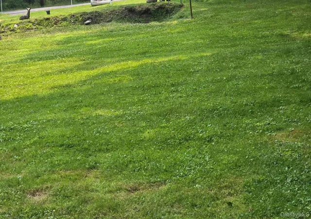 Photo 5 of Land for sale at 628 Sackett Lake Rd, Monticello, NY 12701 | MLS# 1029788 | Listing updated on 2026-07-24