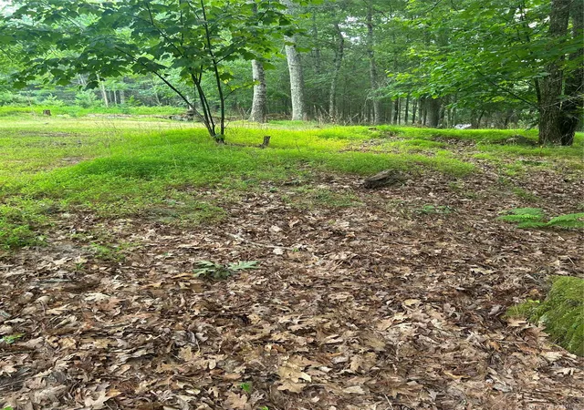 5th image of Sunset Ave, Wawarsing, NY 12489 | MLS# 1030347