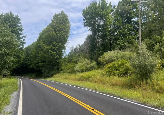 1st image of Horseshoe Lake, Bethel, NY 12783 | MLS# 1030590
