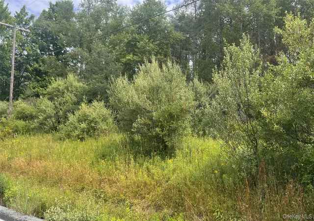 2nd image of Horseshoe Lake, Bethel, NY 12783 | MLS# 1030590