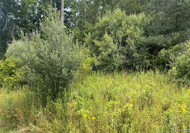 3rd image of Horseshoe Lake, Bethel, NY 12783 | MLS# 1030590