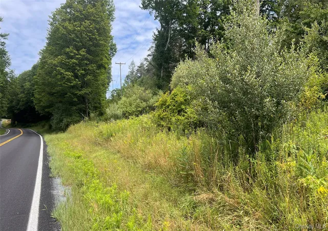 4th image of Horseshoe Lake, Bethel, NY 12783 | MLS# 1030590